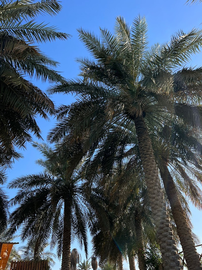 منتجع الكوخ